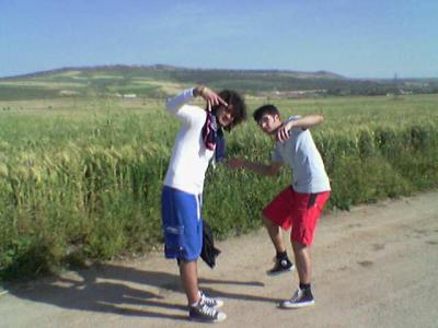 a.k.a the crazy people